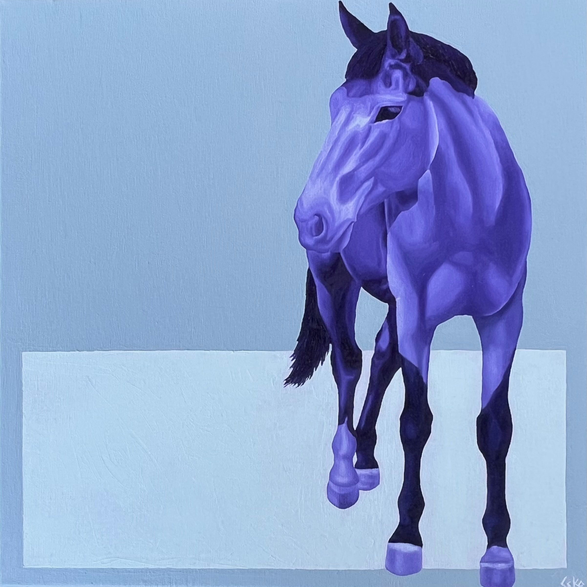 "Purple is the answer"